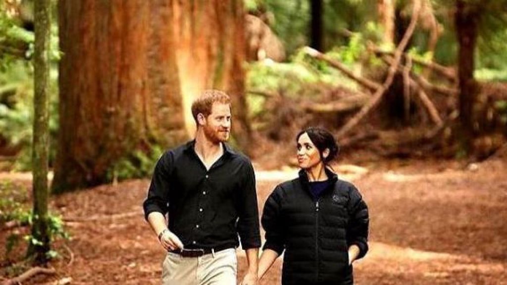 Ingin Hidup Mandiri, Pangeran Harry dan Meghan Markle Keluar dari Anggota Kerajaan Inggris