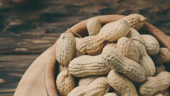 Bagian kacang tanah yang sering kita makan merupakan bagian