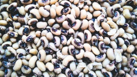 Ajaib! Kacang Kedelai Punya Sejuta Manfaat: Dari Menurunkan Berat Badan Hingga Cegah Kanker Payudara