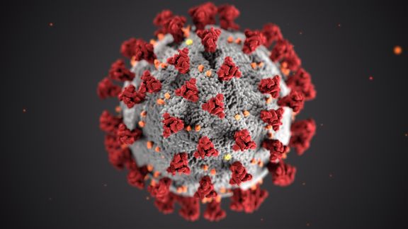 Kasus Omicron Belum Reda, Muncul Lagi Virus Corona Varian Baru yang Disebut 'IHU'