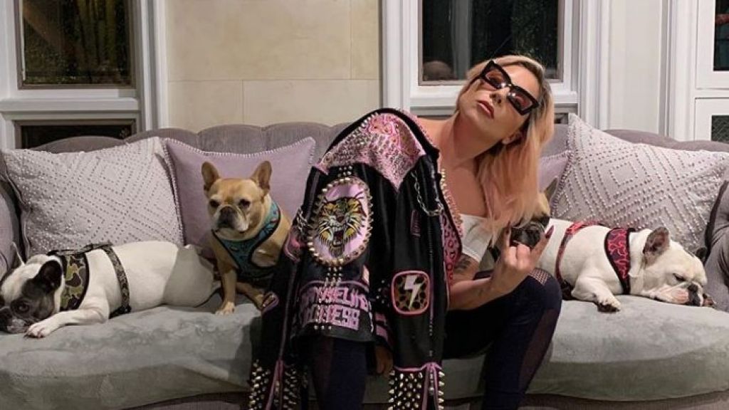 Maraknya Virus Corona, Lady Gaga Pilih Isolasi Diri dengan Tiga Anjingnya