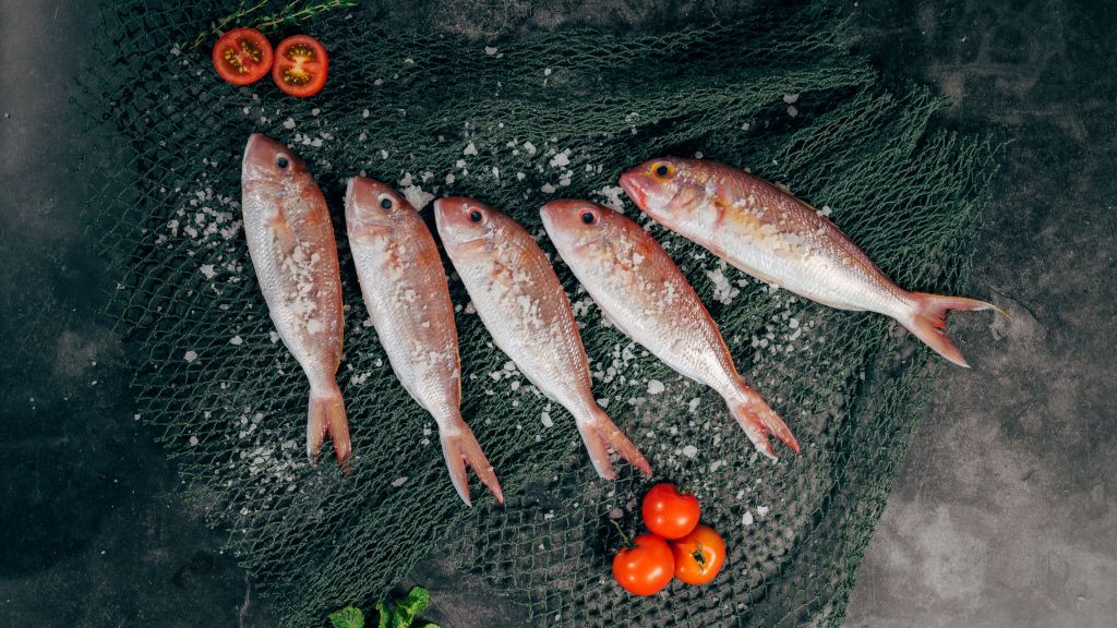 Salah Pilih Ikan Bisa Sebabkan Keracunan Moms! Ikuti Tips Berikut Ini Ya