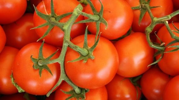 Jos! Khasiat Tomat untuk Ibu Hamil Luar Biasa Dahsyat Moms, Pantas Banyak Dicari-cari Pasangan Muda, Apa Saja Manfaatnya?
