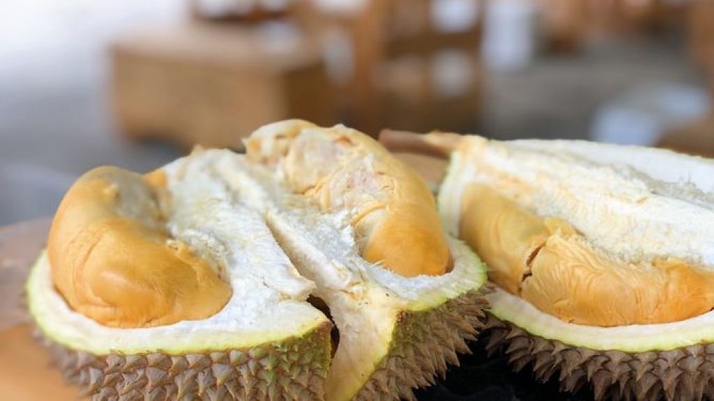 Lagi Musim, Ini Lho Moms 6 Cara Memilih Durian Daging Tebal dan Montong Hanya dari Bentuk Buah dan Tangkainya! Cuss Dicoba