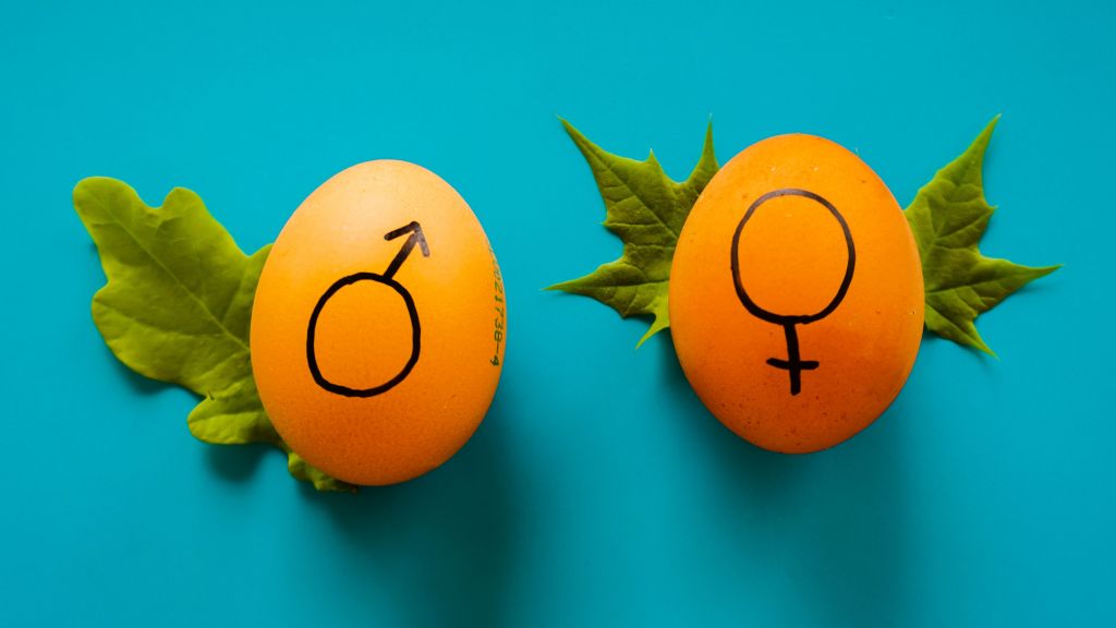 Stereotip Gender, Bagaimana Harus Melawan?