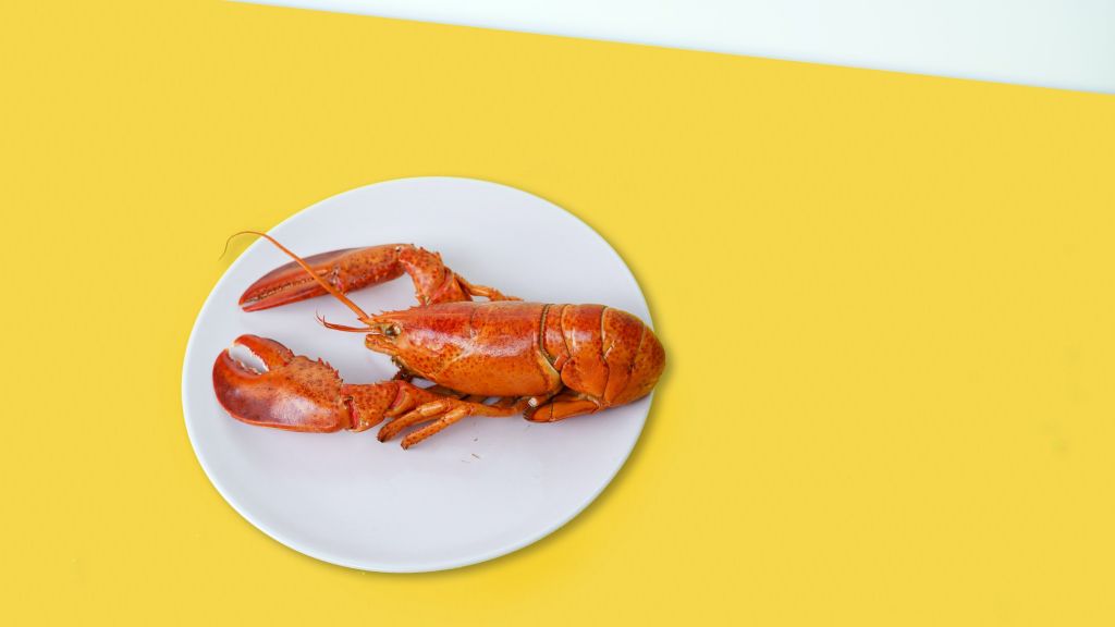 Suka Hidangan Laut? Begini 5 Aturan Makan Seafood Biar Kolesterol Tak Melonjak