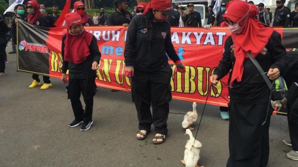 Aksi Unjuk Rasa Ibu-Ibu Bawa Bebek ke Istana: Kami Kasih Nih Buat Jokowi!