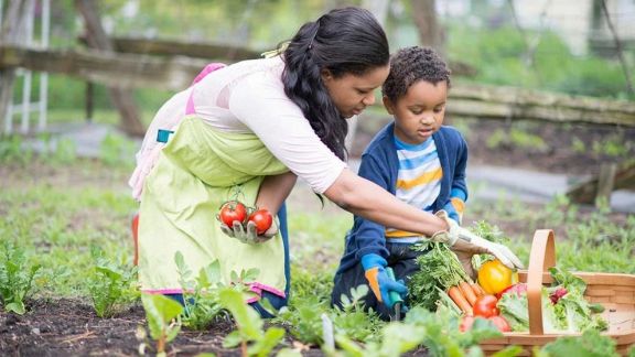 3 Manfaat Mengajak Anak Berkebun, Yuk Moms Ajak Si Kecil Berkebun