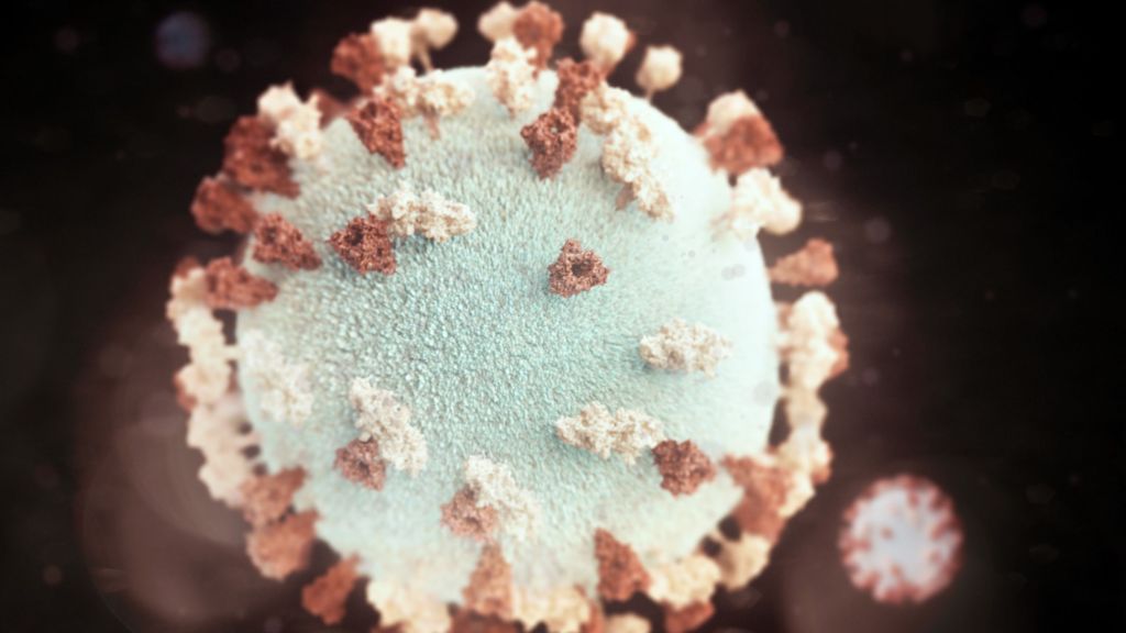 Ngeri... Selain Virus Corona, Norovirus Juga Ditemukan di Indonesia! Bisa Bikin Keracunan Makanan