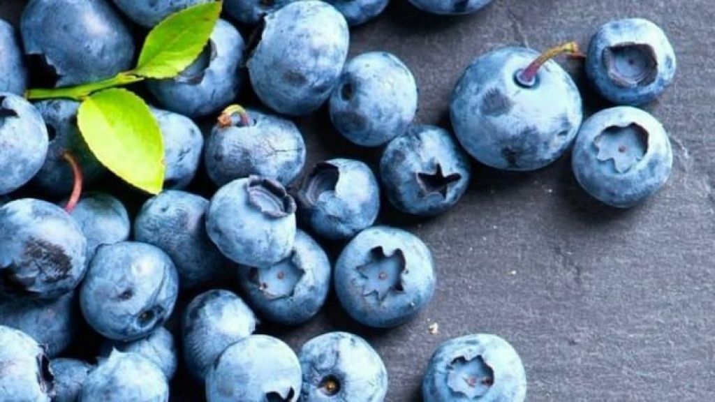 Selain Enak, Blueberry Punya Banyak Manfaat untuk Kesehatan