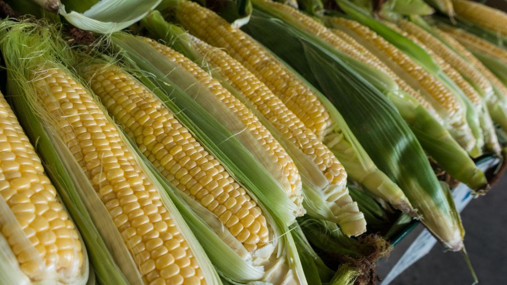 Yummy! Resep Corn Custard untuk MPASI Si Kecil, Sajikan Dingin Lebih Nikmat