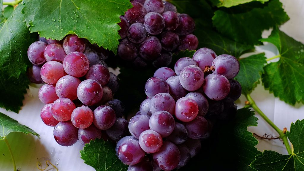 5 Manfaat Anggur Bagi Kesehatan, Salah Satunya Aman Dikonsumsi Penderita Diabetes Lho!