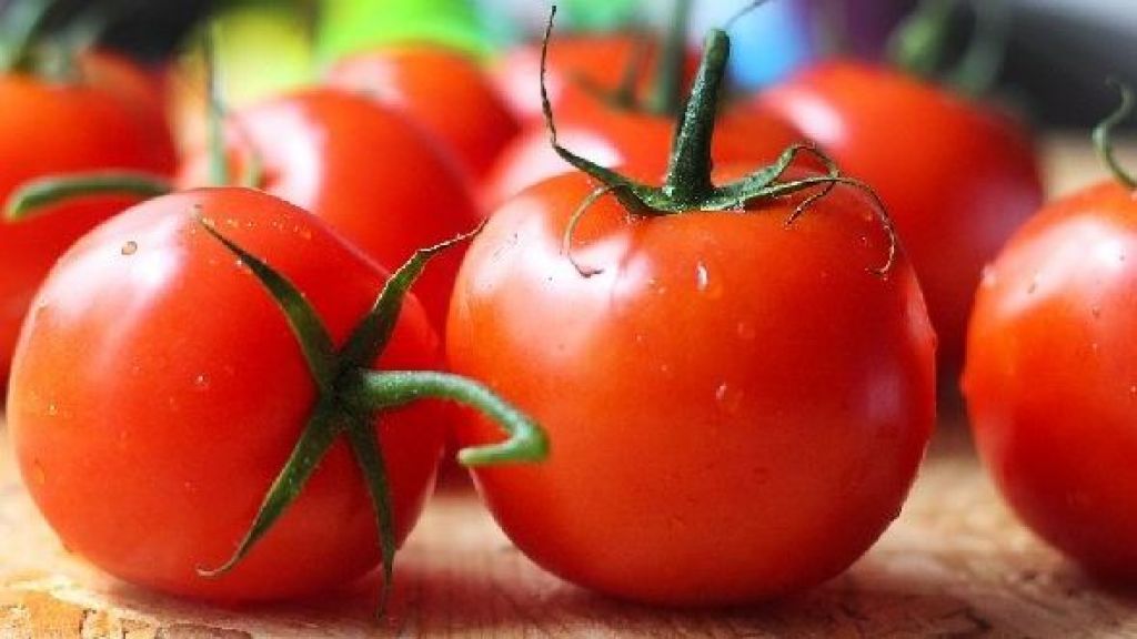 Manfaat Tomat Bagi Kesehatan Reproduksi, Bisa Bikin Suami Makin Ganas di Ranjang!