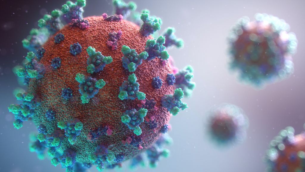 Waspada! Peneliti Temukan NeoCov, Virus Corona Jenis Baru yang Bisa Mengancam Umat Manusia