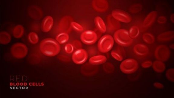 Yuk Cegah Risiko Penyakit Kronis dengan Melancarkan Peredaran Darah dengan 5 Cara Ini
