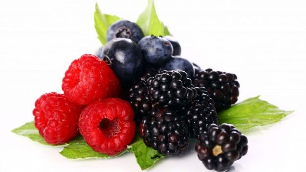 Kaya Antioksidan, Ternyata Buah Elderberry Punya Beragam Manfaat, Bisa Menjaga Kadar Gula Darah!
