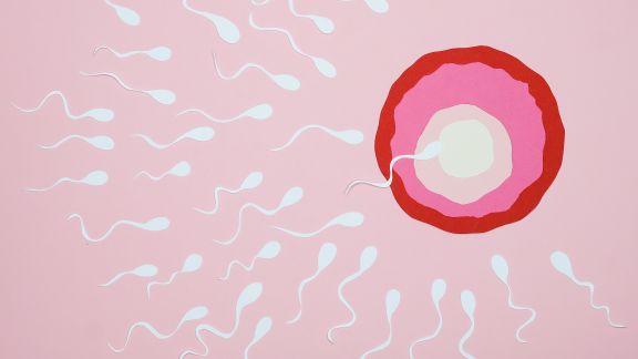 Wajib Tahu, Ini Ciri Sperma Sehat yang Dapat Mempercepat Kehamilan
