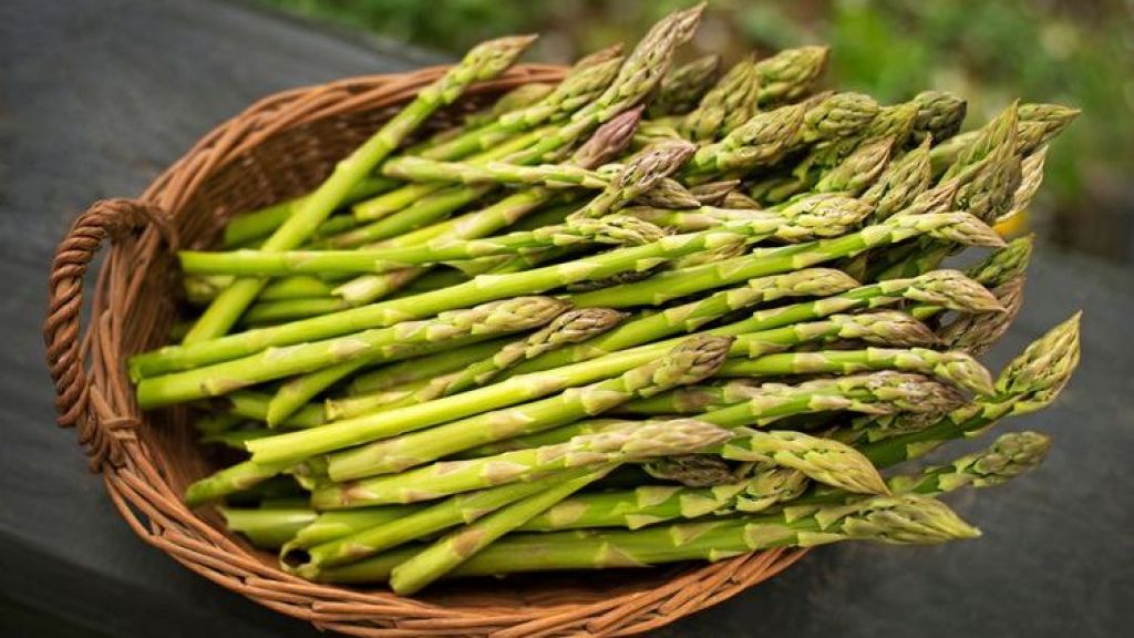 Bisa Dijadikan Sup atau Salad, Ini Lho Manfaat Asparagus yang Sangat Baik untuk Kesehatan, Ternyata Bisa Cegah Sembelit!