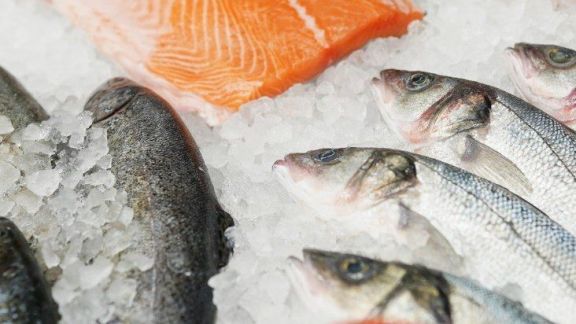5 Jenis Pilihan Ikan Lokal Yang Aman Buat MPASI, Jauh Lebih Murah dan Nggak Kalah Bergizi Lho Moms