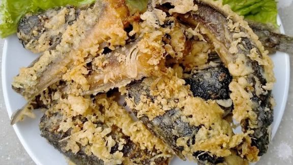 Resep Bikin MPASI Lele Krispi untuk Si Kecil, Rasanya yang Maknyus Dijamin Buat Nafsu Makan Si Kecil Datang Lagi
