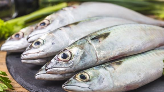 Gak Semua Ikan Baik untuk Kesehatan, Ini Deretan Ikan yang Bisa Menigkatkan kolesterol, Nomor Dua Malah Sering Dimakan Tiap Hari