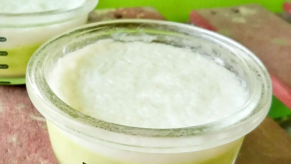 Trik Bikin Lumpur Surga Anti Gagal, Puding Dua Lapis yang Lembut Banget