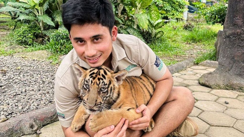 Penyebab Anak Harimau Milik Alshad Ahmad Mati Terungkap, Kronologinya Jadi Sorotan: Ada Kelainan...