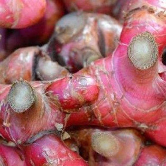 Dari Rempah Tradisional ke Industri Modern, Jahe Merah Terus Berkembang, Intip Yuk Beauty
