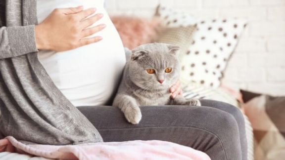 Konon Ibu Hamil Gak Boleh Pelihara Kucing, Ternyata Pemicu Kerusakan Mata dan Otak pada Bayi, Jangan Sembarangan Ya Moms!