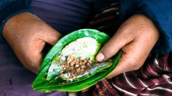 Kenali Manfaat dan Bahaya Menyirih Bagi Kesehatan, Bisa Sebabkan Kanker Mulut?