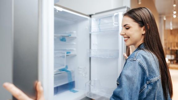 5 Rekomendasi Tempat Sewa Freezer ASI untuk Ibu Menyusui, Jangka Waktu 1 Bulan Sampai 3 Bulan Moms!