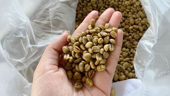 Bukan hanya Arabika dan Robusta, Beauty Intip Yuk Industri Kopi Excelsa yang Mulai Mendunia