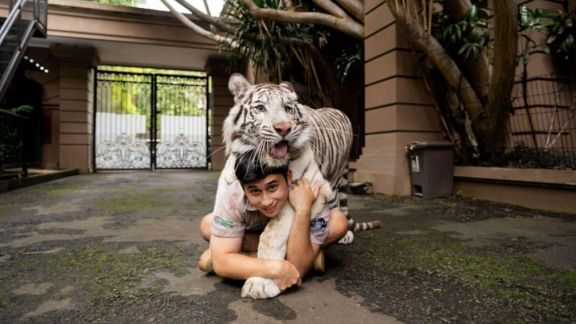 Beda Tipis dengan Harimau, Alshad Ahmad Luncurkan Makanan Kucing Bernutrisi Tinggi: Allen!