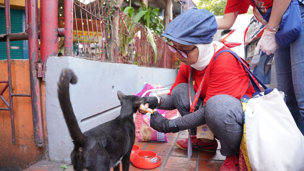 Rayakan Cat Day, Kucingku Bagi 800 Kg Makanan untuk Kucing Jalanan Bareng Komunitas!