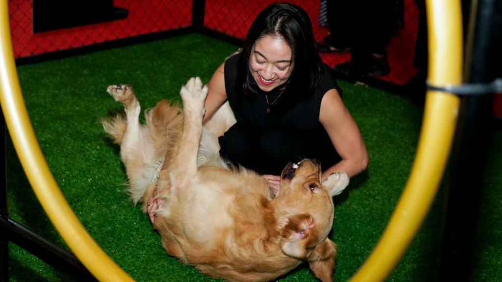 Ahli PURINA®  PRO PLAN Paparkan Kebutuhan Nutrisi Ideal bagi Kucing dan Anjing