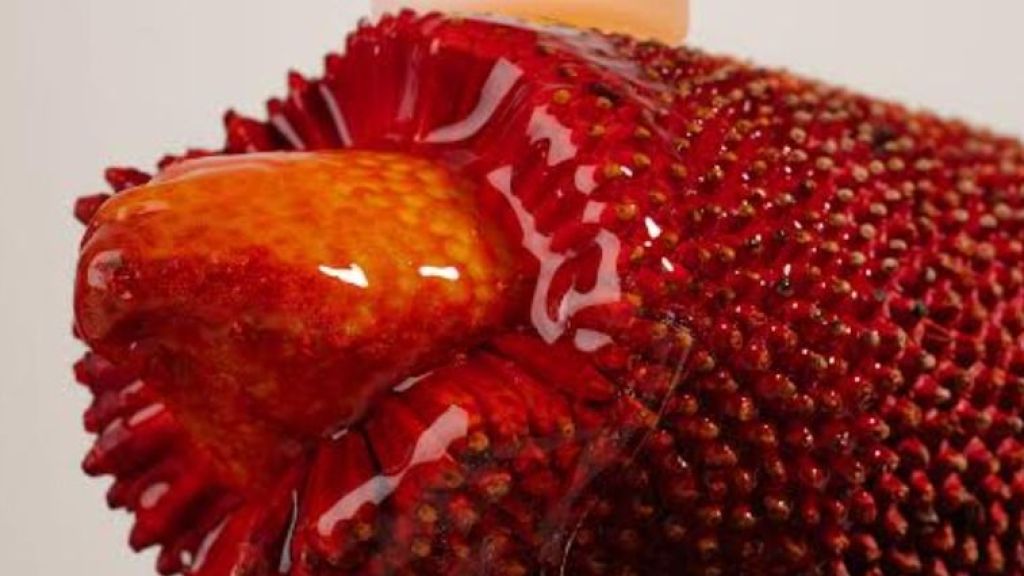 Inovasi Skincare Alami Indonesia Hadir dari Buah Merah Papua, Intip Yuk Beauty!
