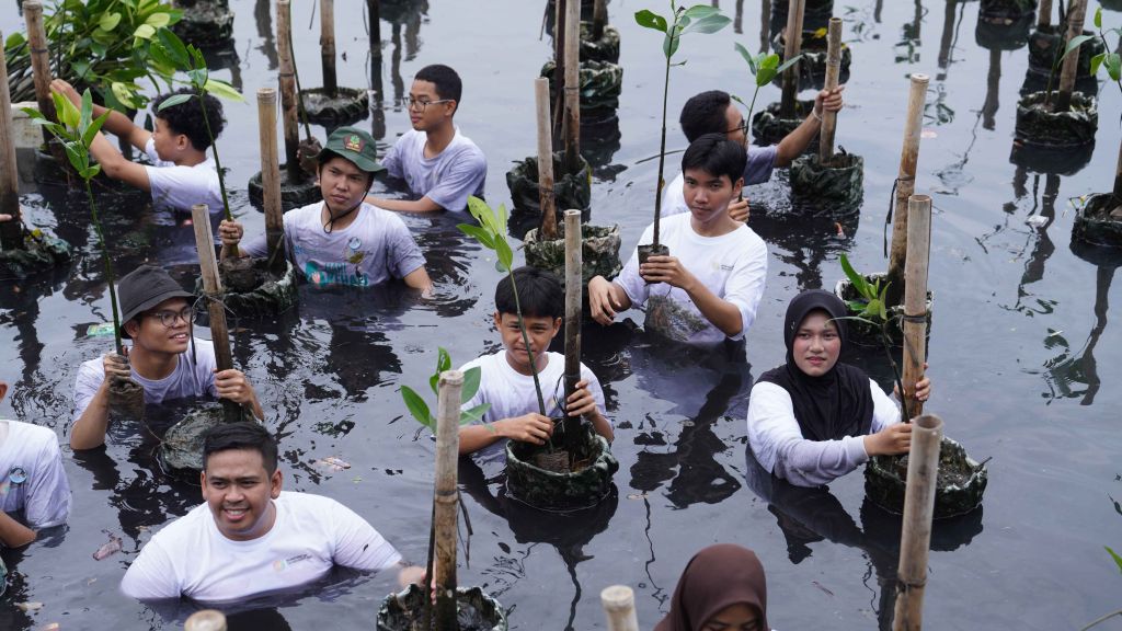Wisata Mangrove Jadi Cara Baru Gen Z Isi Akhir Pekan